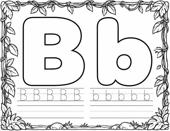 B b