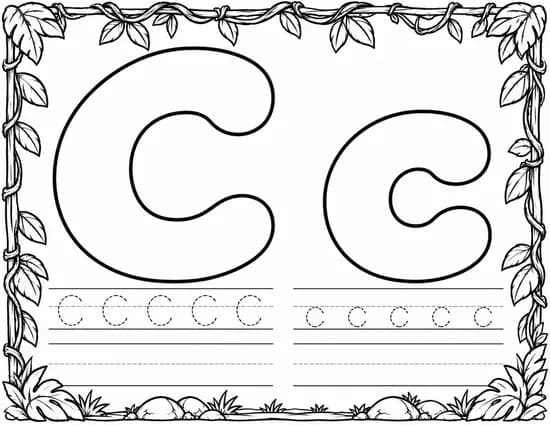 C c