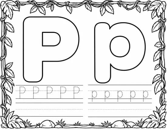 P p