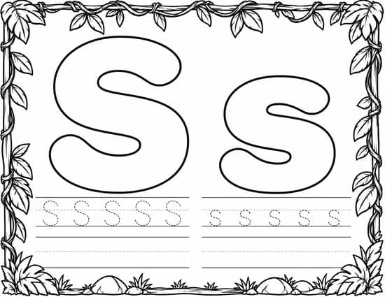 S s