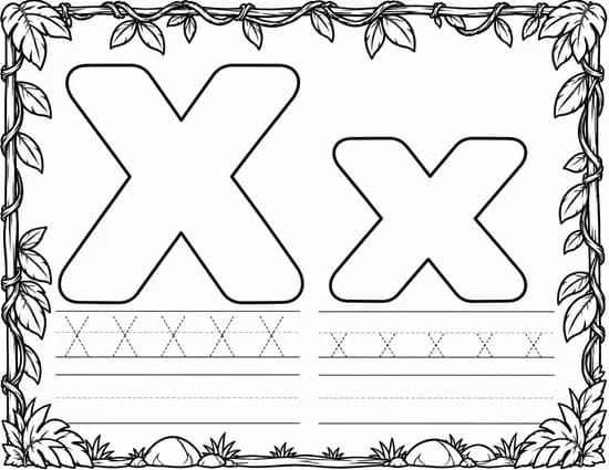 X x