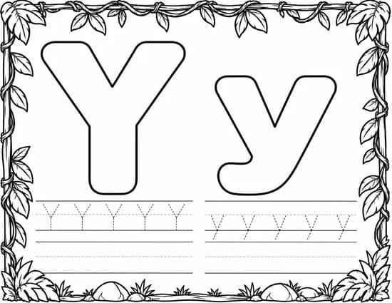 Y y